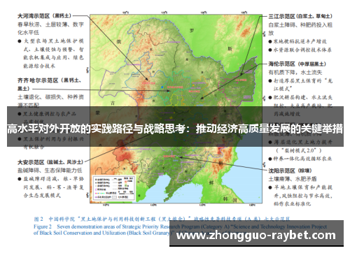 高水平对外开放的实践路径与战略思考:推动经济高质量发展的关键举措 高水平对外开放的实践路径与战略思考:推动经济高质量发展的关键举措