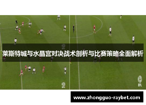 莱斯特城与水晶宫对决战术剖析与比赛策略全面解析 莱斯特城与水晶宫对决战术剖析与比赛策略全面解析