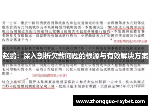 赵鹏:深入剖析欠薪问题的根源与有效解决方案 赵鹏:深入剖析欠薪问题的根源与有效解决方案