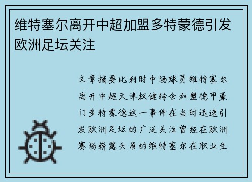 维特塞尔离开中超加盟多特蒙德引发欧洲足坛关注
